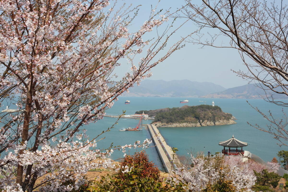 오동도