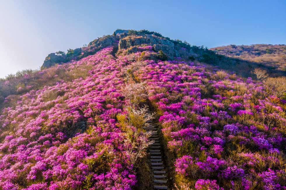 [기획] 여수시, 자연유산(명승) 생태관광지로 탈바꿈한다
