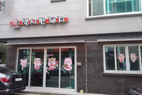 섹시한돼지