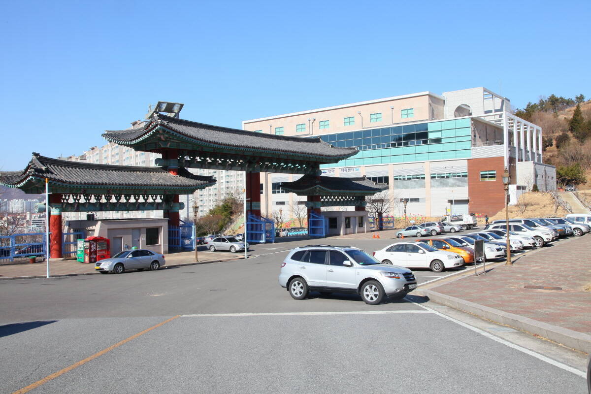 망마경기장