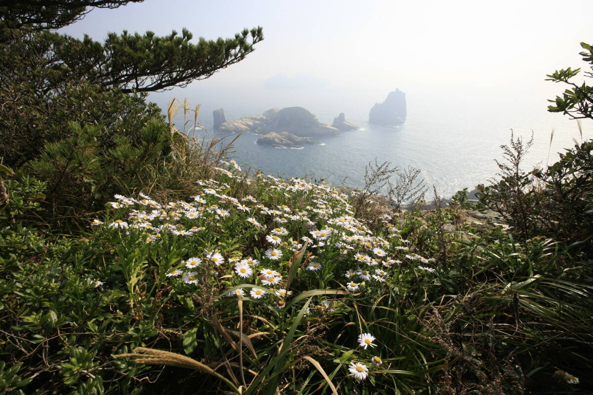 다도해해상국립공원(..