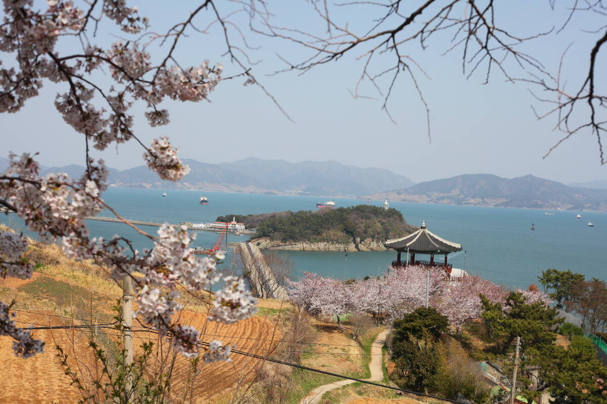 오동도