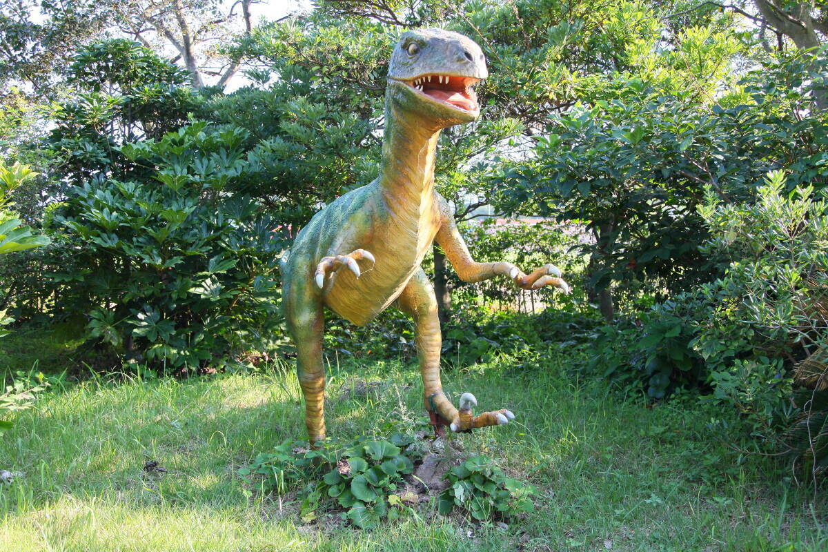 공룡모형과 공룡체험..