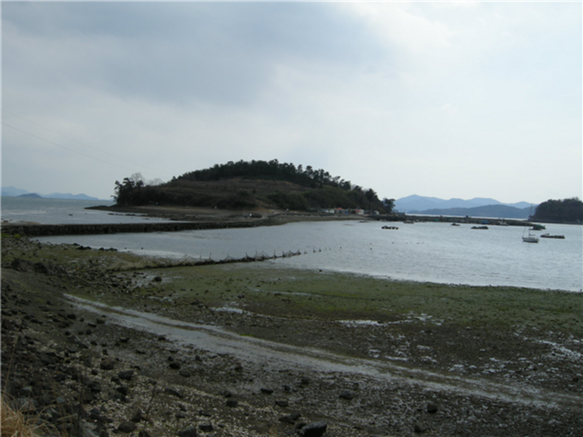 장도